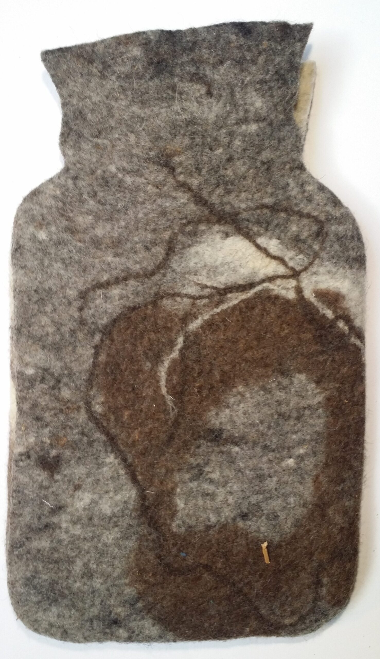 20241217_120616-scaled-aspect-ratio-1293-2241