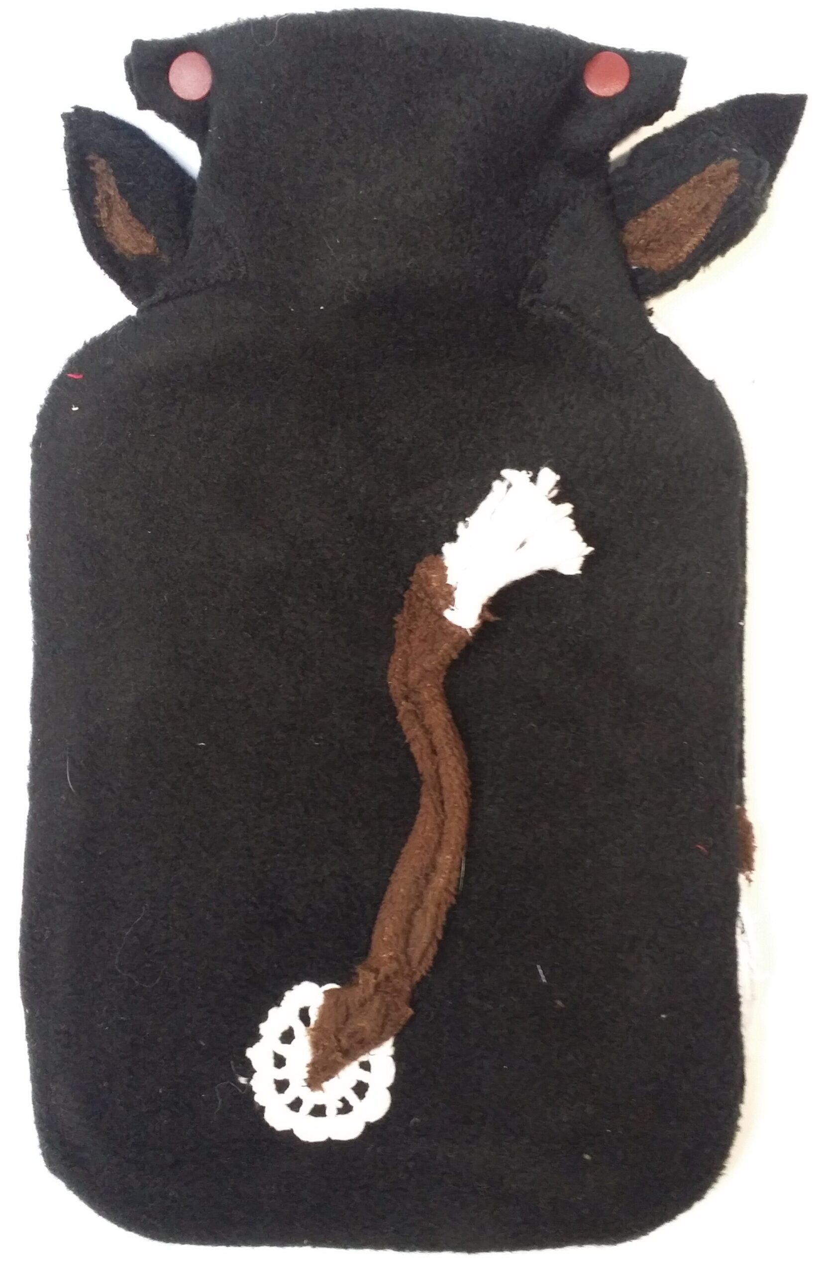 20241217_120240-scaled-aspect-ratio-1315-2055