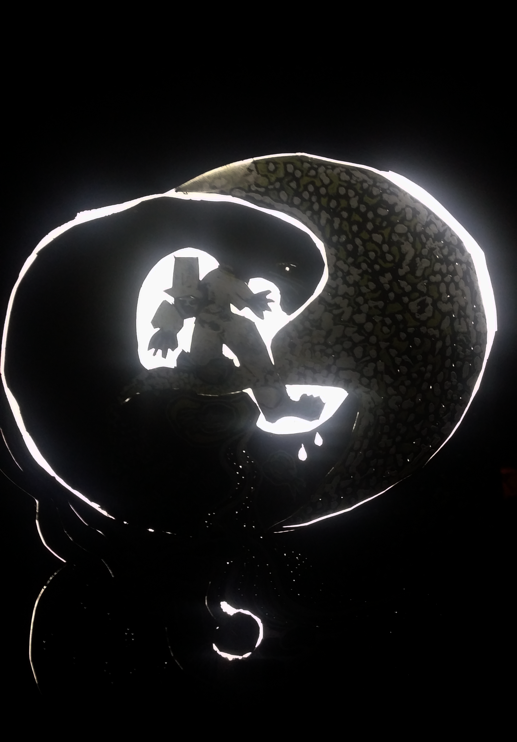 20240503_001857-scaled-aspect-ratio-1440-2067